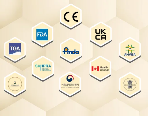 August 2025 Newsletter (English)