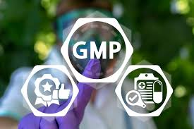 GMP Compliance Audit